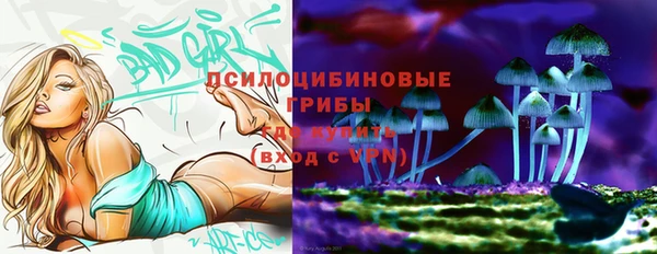 кокс Арсеньев